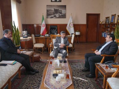 تأکید مدیرعامل بانک ملی در دیدارهای پارلمانی