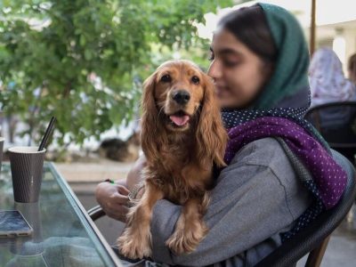 زندگی آپارتمانی و حیوانات خانگی؛ همزیستی یا چالش شهرنشینی؟