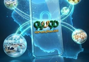 حمایت ویژه بانک کشاورزی از زنجیره دام و طیور ۵۹ همتی شد