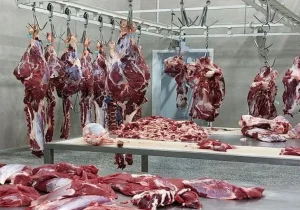  گمرکِ جنگی فعال شد؛ گوشت و ۱۱۰ قلم کالا در مسیر ترخیص فوری