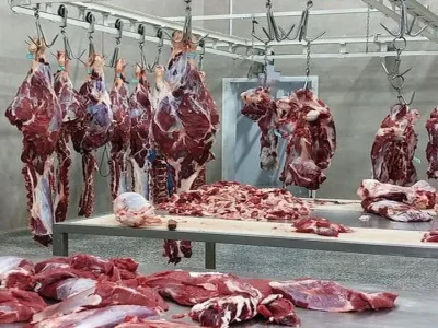 گمرکِ جنگی فعال شد؛ گوشت و ۱۱۰ قلم کالا در مسیر ترخیص فوری