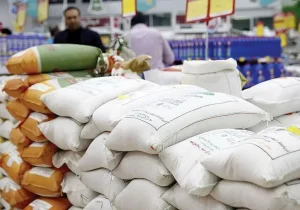  تغییر در سیاست‌های واردات کالاهای اساسی / لغو ممنوعیت ترخیص برنج در فصل برداشت سال ۱۴۰۵