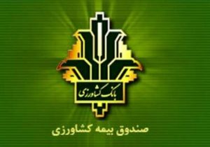 خبر مهم برای کشاورزان؛ غرامت خسارت‌ها هفتگی پرداخت می‌شود
