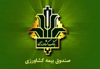 خبر مهم برای کشاورزان؛ غرامت خسارتها هفتگی پرداخت میشود