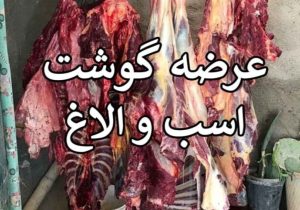 کشف ۲۵۴ کیلو گوشت الاغ و اسب در تهران