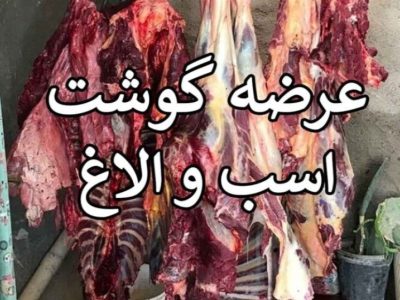 کشف ۲۵۴ کیلو گوشت الاغ و اسب در تهران