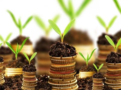 خلفتعهد بانکها در پرداخت وام کشاورزان؛ ۳ درصد به جای ۱۱.۵ درصد!