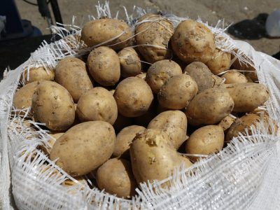 ورود ۸۰۰ کامیون سیب‌زمینی به تهران