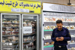 تشکیل کمیته هفت‌نفره دولت برای توسعه طرح «تورم صفر»